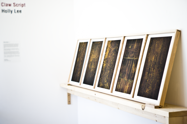 LIKE A FEVER | Holly descending a staircase & Claw Script | Asia Art ...